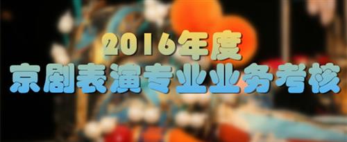 白丝调教，色国家京剧院2016年度京剧表演专业业务考...